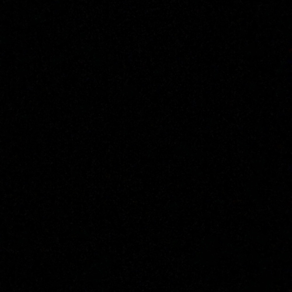 Meet your Posher, Addie